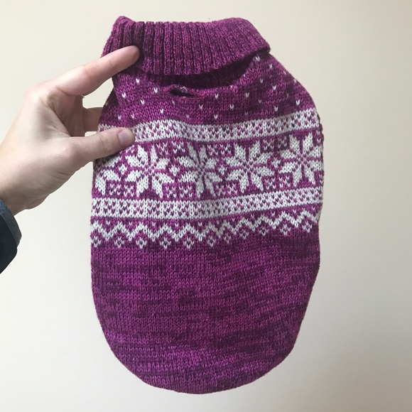 african dwarf frog cost